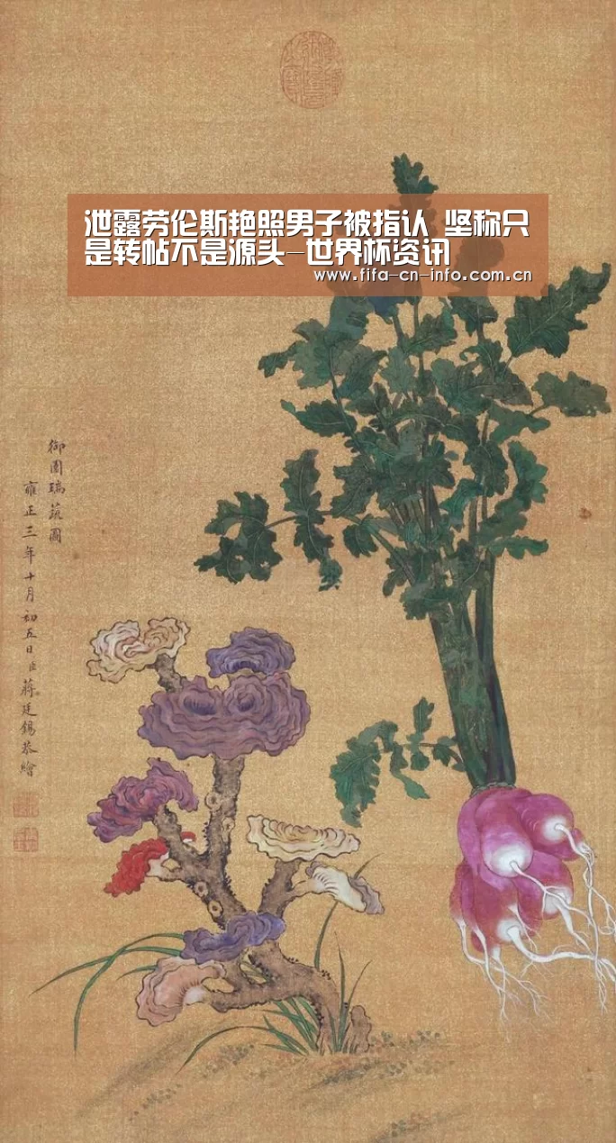 新闻快讯