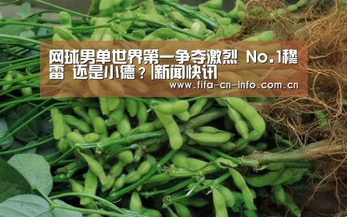 网球男单世界第一争夺激烈 No.1穆雷 还是小德?|新闻快讯(图2) 世界杯资讯