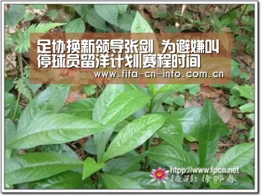 新闻快讯