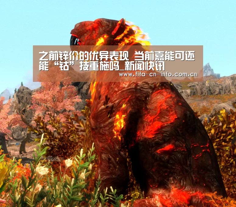 赛程时间
