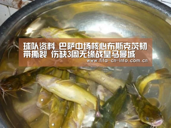 球队资料_巴萨中场核心布斯克茨韧带撕裂 伤缺3周无缘战皇马曼城(图2) 赛程时间